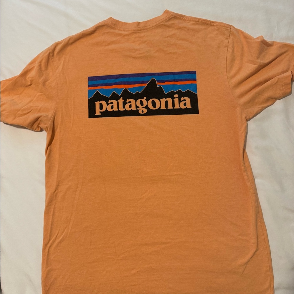 Size M Patagonia Responsibli-Tee
